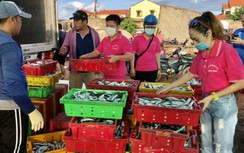 Người dân Quảng Bình góp 25 tấn cá gửi cho TP.HCM