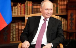 Tổng thống Zelensky ca ngợi bài báo của ông Putin, người Ukraine nói gì?