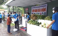 TP.HCM duy trì cửa hàng bình ổn giá, công bố đường dây nóng "tố" vi phạm