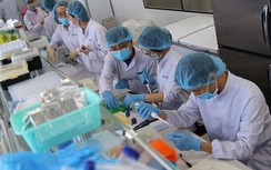 Ấn Độ sẵn sàng giúp Việt Nam thử nghiệm và sản xuất vaccine Covid-19