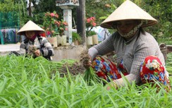 Người Khmer ở Kiên Giang được giúp vốn thoát nghèo