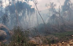 Đốt rẫy dẫn đến cháy rừng khiến mẹ chồng tử vong, con dâu nhập viện cấp cứu
