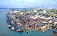 Hàng tồn giảm mạnh, cảng Cát Lái về ngưỡng an toàn