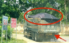 CSGT Bình Định liên tiếp xử lý xe "siêu tải" logo Phú Hưng vi phạm