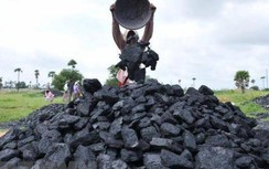 34 doanh nghiệp Indonesia bị cấm xuất khẩu than, VN thận trọng giao dịch