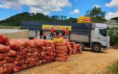 Phương Trang tiếp ứng 2.000 tấn nông sản cho thành phố Đà Nẵng