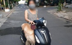 Dắt chó đi dạo, nhiều người ở Đà Nẵng bị phạt nặng