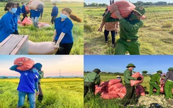 Chùm ảnh: Đoàn viên, công an Hà Tĩnh giúp dân thu hoạch lúa giữa mùa dịch