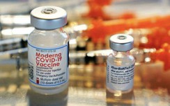 Nhật Bản phát hiện dị vật là phần tử kim loại trong vaccine của Moderna