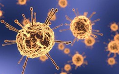 Tình báo Mỹ làm rõ nghi vấn virus SARS-CoV-2 là vũ khí sinh học