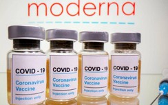 Thêm một tỉnh của Nhật dừng tiêm vì phát hiện dị vật trong vaccine Moderna