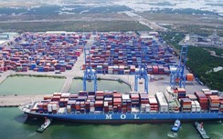 Hàng hải kêu gọi không tăng giá dịch vụ cảng biển trong mùa dịch