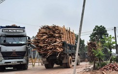 Xe quá khổ, nghi chở quá tải nghênh ngang trên nhiều tuyến đường đất mỏ