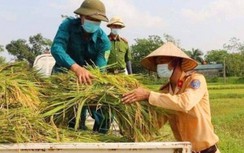 Công an Thanh Hoá xuống đồng gặt lúa cho dân để "chạy" bão số 5