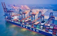 Hãng tàu đầu tiên cam kết bình ổn giá cước vận tải container ở Việt Nam