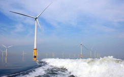 GWEC: Đợi thêm 10 năm, điện gió ngoài khơi Việt Nam sẽ mất lợi thế