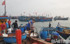 Quảng Ngãi tạm đóng cửa các bến bãi, cảng cá trên địa bàn từ hôm nay