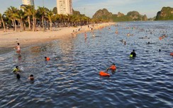 Quảng Ninh mở lại một số hoạt động dịch vụ, du lịch nội tỉnh từ ngày 21/9