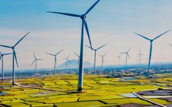 T&T Group hợp tác với Hoa Kỳ phát triển năng lượng tái tạo tại Việt Nam