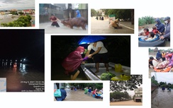 Nghệ An: Mưa lớn lịch sử, hồ chứa xả lũ, trắng đêm chạy lũ