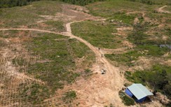 Vụ huỷ hoại 34 ha rừng ở Gia Lai: Tách làm 2 vụ án khác nhau