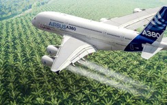 Indonesia thử nghiệm chuyến bay sử dụng nhiên liệu pha dầu cọ