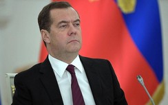 Ông Medvedev: Giấc mơ vào NATO và EU của Ukraine rất phù du