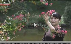 Công chúa Nhật Bản đến viếng mộ ông bà để báo tin về hôn lễ
