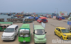 Quảng Ngãi cho phép vận tải hành khách, cảng cá hoạt động trở lại