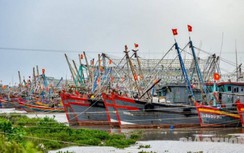 Ninh Bình-Thanh Hóa cấm biển, sẵn sàng sơ tán dân trước khi bão số 8 đổ bộ