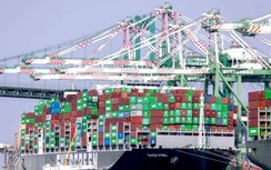 Cảng biển lớn tại Mỹ nỗ lực gỡ rối chuỗi cung ứng hàng châu Á