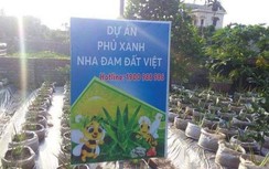 Cần làm rõ những bất thường từ dự án "Phủ xanh nha đam đất Việt"