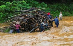 Nghệ An: Đi vớt củi, hai cha con bị nước cuốn tử vong