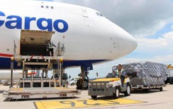 “Vua hàng hiệu” đề nghị Bộ GTVT hướng dẫn thủ tục lập hãng bay