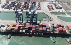 Tàu ngoại đến cảng biển Việt Nam tăng mạnh