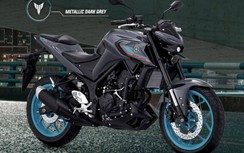 Yamaha MT-25 2022 ra mắt, nổi bật với cách phối màu thể thao