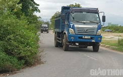 Đà Nẵng: Đường bị cây mọc um tùm "nuốt chửng", gây mất ATGT