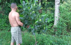 Cần Thơ: Người dân ùn ùn trồng cây chờ… giải tỏa