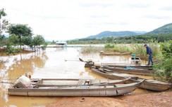 Kon Tum cấm sang sông để... kiểm soát dịch, nông dân Gia Lai "khóc ròng"