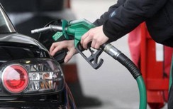 Giá xăng dầu hôm nay 19/11: Trượt dốc khi Mỹ kêu gọi giải phóng dự trữ