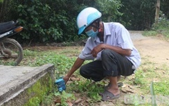 Quảng Nam: Nghịch lý dân thiếu nước dùng, công trình nước sạch lại bỏ không