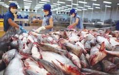 Trung Quốc "siết" nhập khẩu, doanh nghiệp Việt cần bỏ tư duy "nhờ vả"