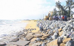 Chủ tịch tỉnh Quảng Ngãi chỉ đạo "nóng" xây kè bảo vệ bờ biển Nghĩa An