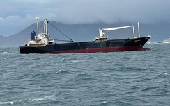 Tàu chở ván ép nguy cơ lật trên biển, 17 thuyền viên thoát chết