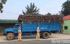 Phạt hàng loạt xe chở mía vượt thùng cả mét ở khu vực miền Tây Thanh Hóa