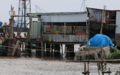 Đầu tư 35 tỷ đồng xử lý khẩn cấp sạt lở bờ biển ở Cà Mau đe dọa khu dân cư