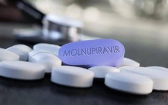 Bộ Y tế đã cung cấp bao nhiêu liều thuốc kháng virus Molnupiravir ?