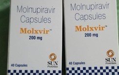 Phục hồi thần tốc, F0 miền Tây gọi thuốc Molnupiravir là "thần dược"