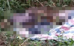 Hải Phòng: Phát hiện hai thi thể nam giới đang phân huỷ tại bãi cỏ hoang
