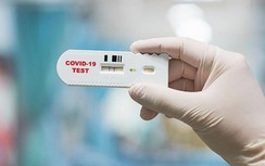 Sau Việt Á, ai chiếm lĩnh thị phần kit test nhanh Covid-19?